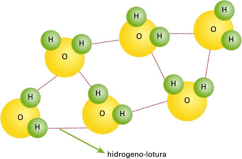 Hidrogeno-zubiak