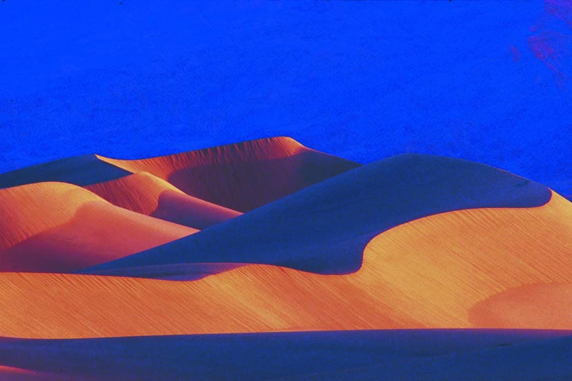 Basamortuko duna