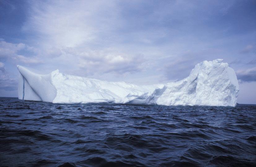 Iceberga