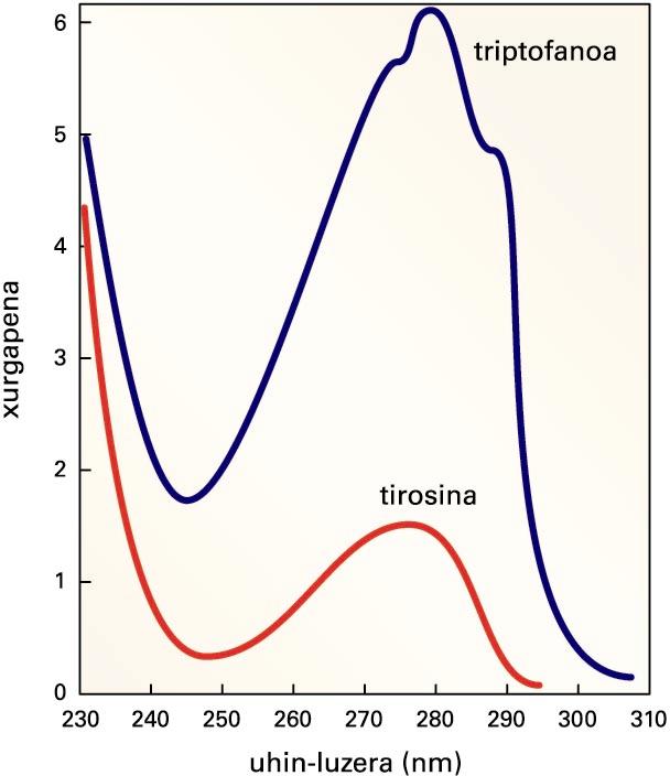 Tirosina eta triptofano aminoazido aromatikoen argi ultramorearen xurgapena. Triptofanoak tirosinak baino lau aldiz gehiago xurgatzen du. Kasu bietan, xurgapen maximoa 280 nm-ko uhin-luzera inguruan gertatzen da