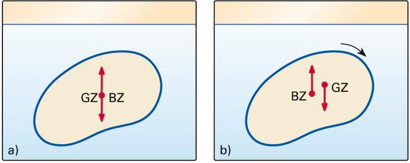 Solido homogeneoa (a) eta ez-homogeneoa (b). BZ: bultzada-zentroa; GZ: grabitate-zentroa