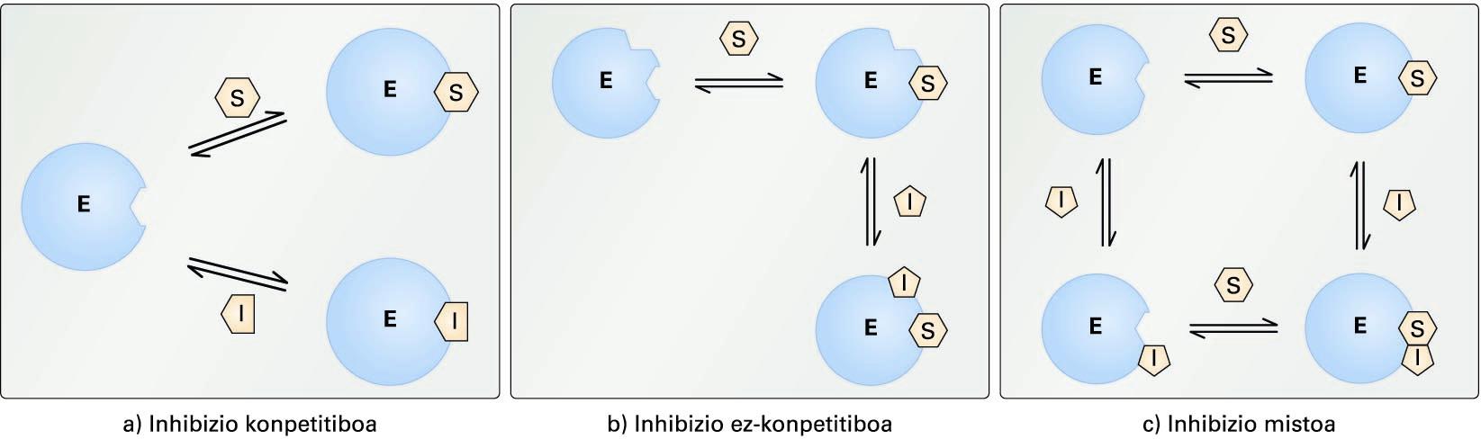 Inhibizio itzulgarrien ereduak. (a) inhibizio konpetitiboa,(b) inhibizio ez-konpetitiboa eta (c) inhibizio mistoa. E zirkulu urdinakentzima irudikatzen du, eta S-k eta I-k, substratua eta inhibitzailea, hurrenezhurren
