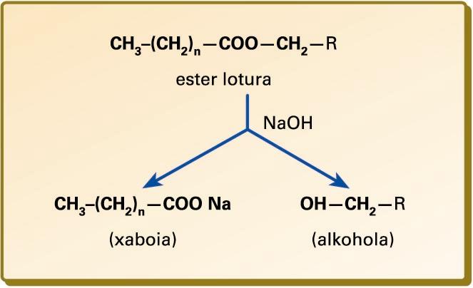 Saponifikazio-erreakzioa. Alkalien bidez (NaOH edo KOH) lipidoen ester lotura hidrolizatzean datza. Molekulak apurtutakoan, gatz alkalinoak (xaboiak) eta alkoholak askatzen dira