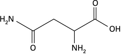 Asparagina