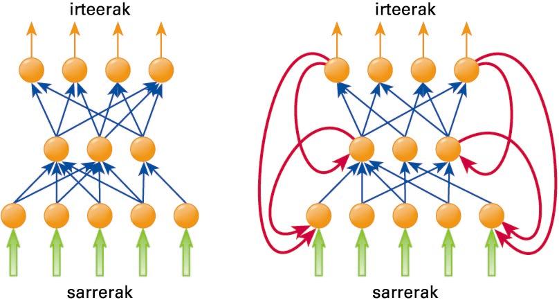 Sare aurrerakarien eta atzerakarien topologiak