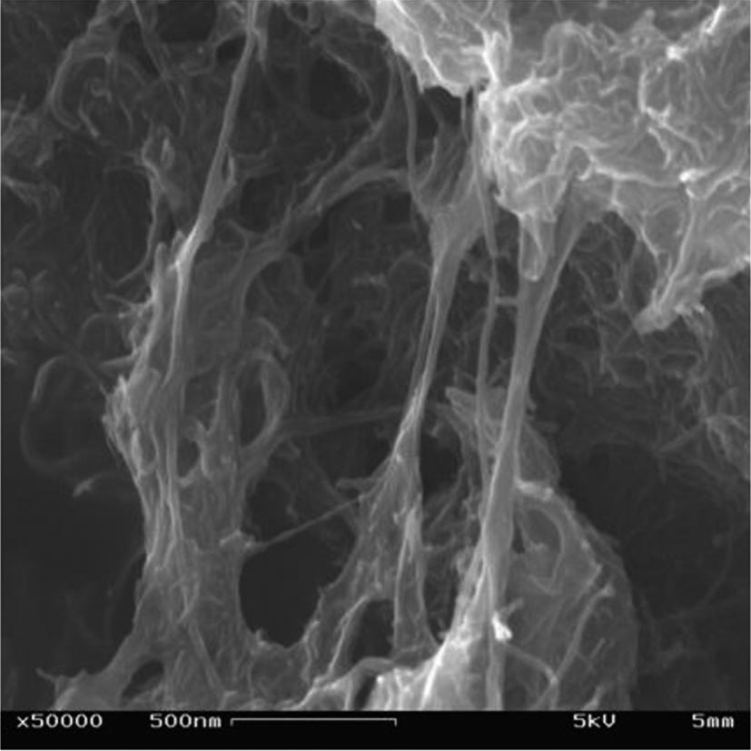 Surfaktantez eraldaturiko karbono-nanohodien SEM mikrografia