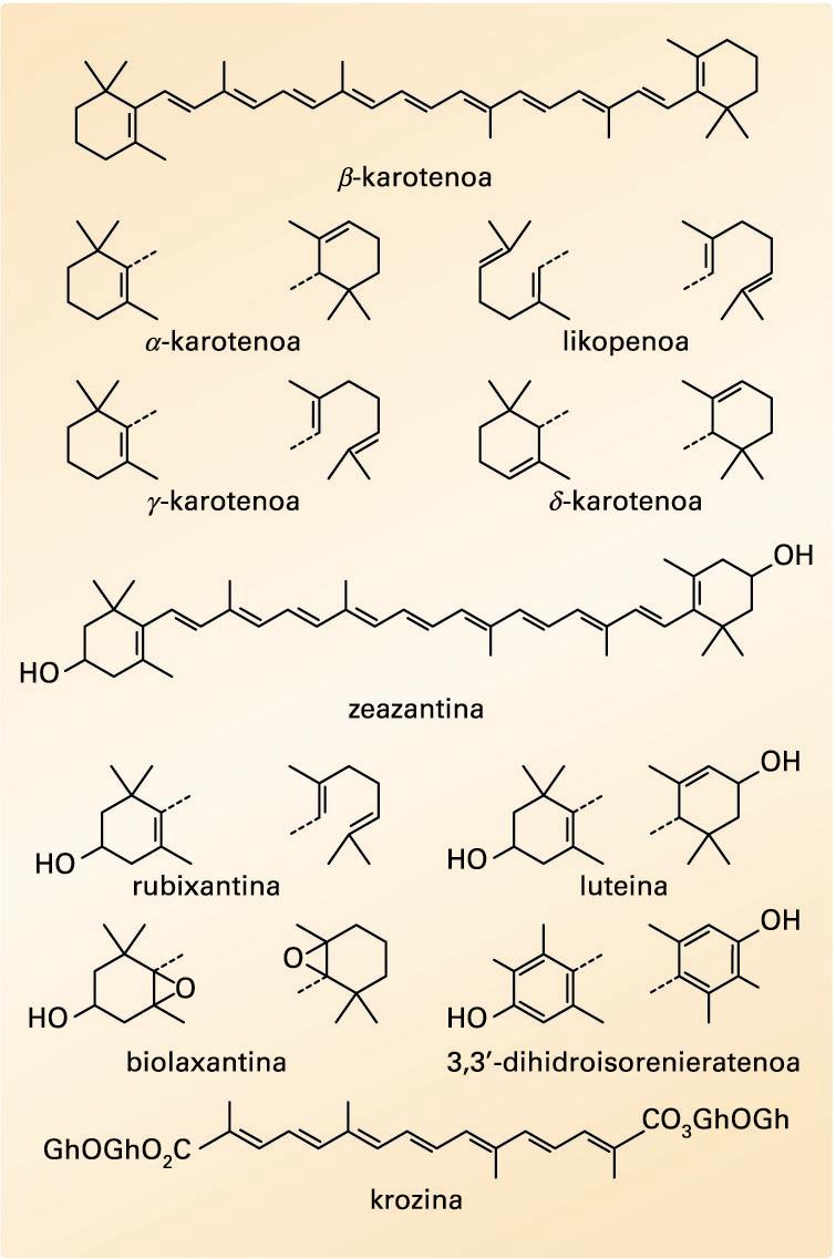 Zenbait karotenoide-molekula
